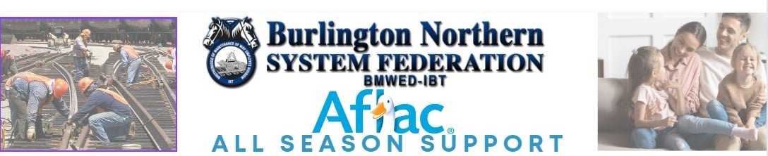 all season all season